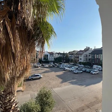 Güneş Suıt *